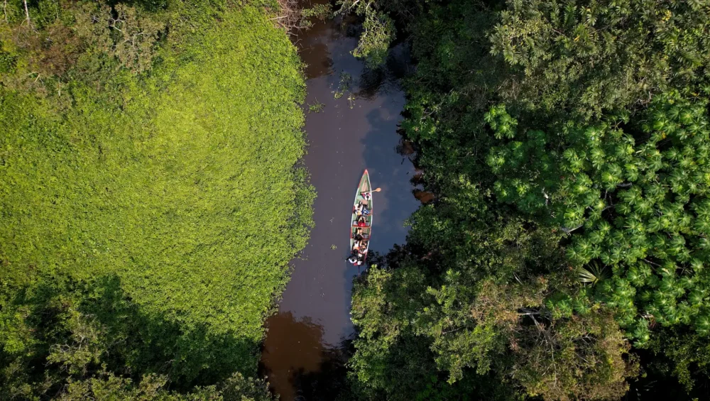 Que ver en el Alto Mayo en 2 días: Ruta por Moyobamba y Rioja entre naturaleza y cultura