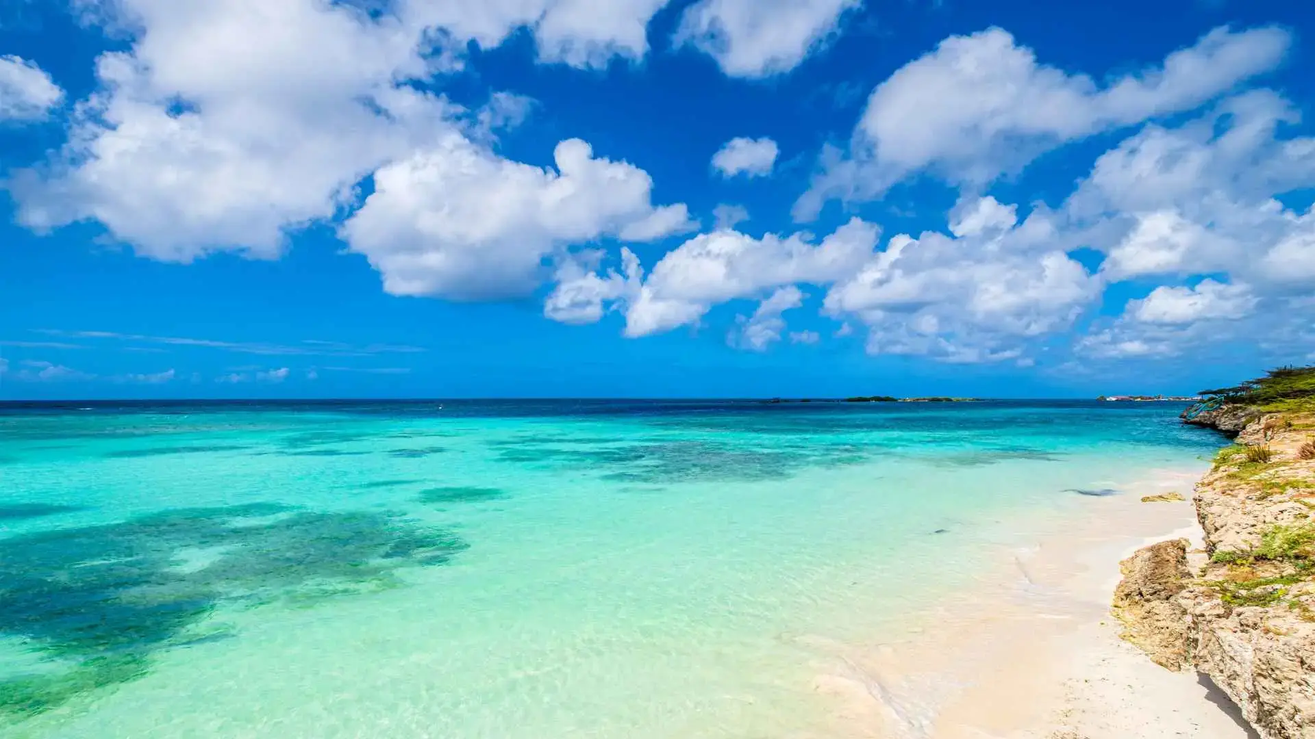 Playa de Aruba para planificar un viaje desde Perú