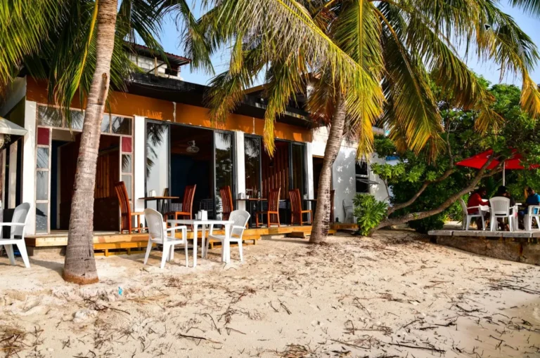 Restaurante buffet de un resort todo incluido