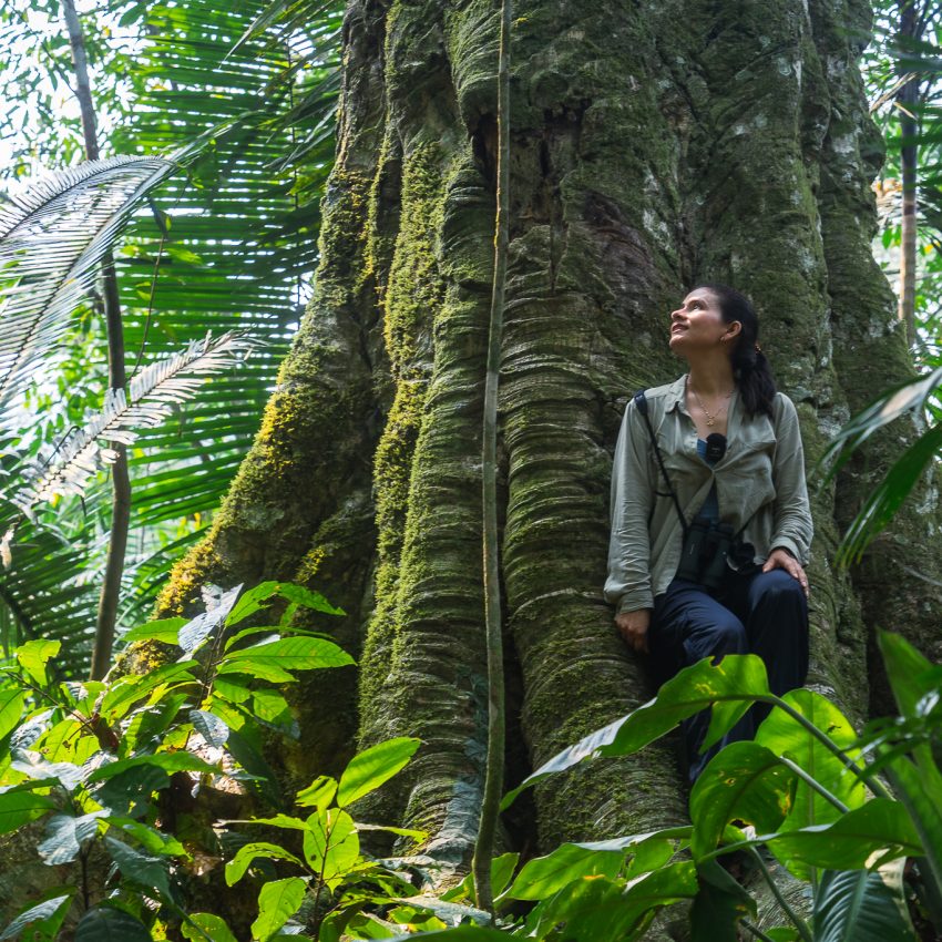 conexion-en-la-naturaleza-arboles-grandes-desconexion-turismo